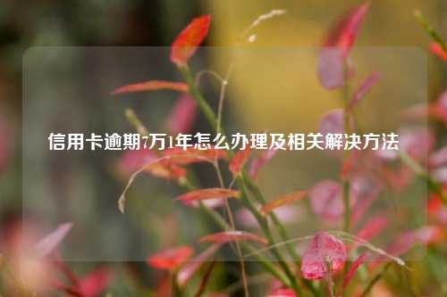 信用卡逾期7万1年怎么办理及相关解决方法