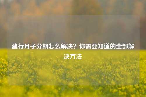 建行月子分期怎么解决？你需要知道的全部解决方法