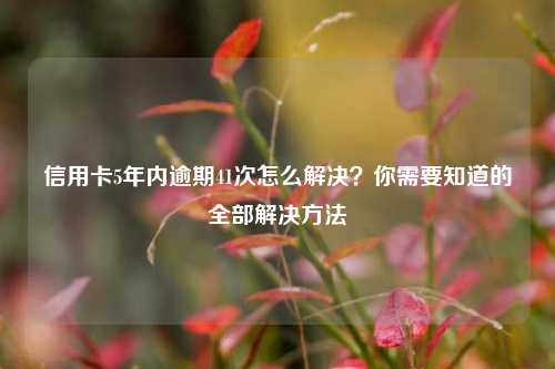 信用卡5年内逾期41次怎么解决？你需要知道的全部解决方法