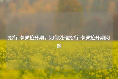 招行 卡罗拉分期，如何处理招行 卡罗拉分期问题