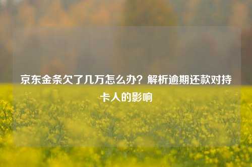 京东金条欠了几万怎么办？解析逾期还款对持卡人的影响