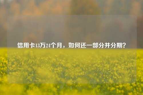 信用卡13万24个月，如何还一部分并分期？