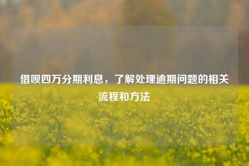 借呗四万分期利息，了解处理逾期问题的相关流程和方法