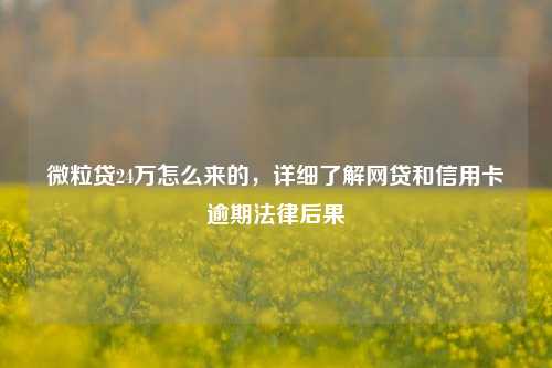 微粒贷24万怎么来的，详细了解网贷和信用卡逾期法律后果