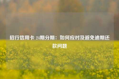 招行信用卡 24期分期：如何应对及避免逾期还款问题