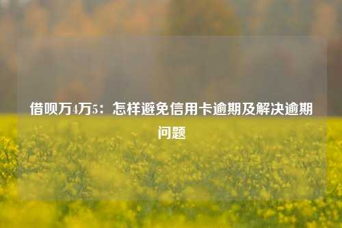 借呗万4万5：怎样避免信用卡逾期及解决逾期问题