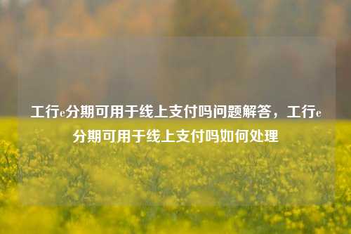 工行e分期可用于线上支付吗问题解答，工行e分期可用于线上支付吗如何处理