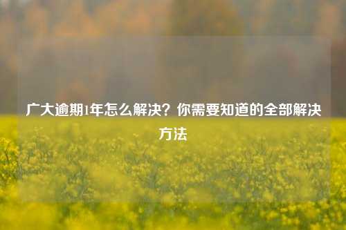 广大逾期1年怎么解决？你需要知道的全部解决方法