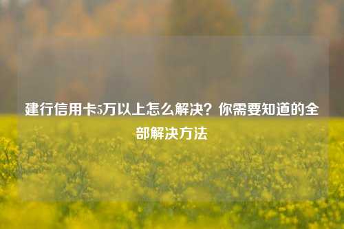 建行信用卡5万以上怎么解决？你需要知道的全部解决方法