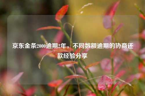 京东金条2000逾期2年，不同数额逾期的协商还款经验分享