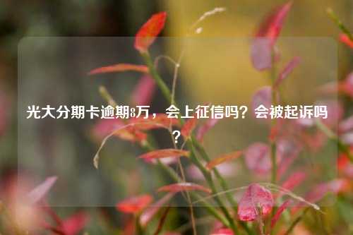 光大分期卡逾期8万，会上征信吗？会被起诉吗？