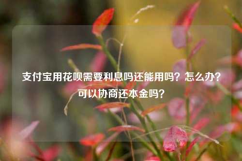 支付宝用花呗需要利息吗还能用吗？怎么办？可以协商还本金吗？