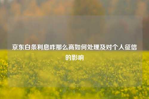 京东白条利息咋那么高如何处理及对个人征信的影响