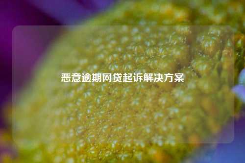 恶意逾期网贷起诉解决方案