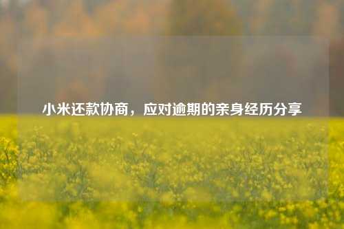 小米还款协商，应对逾期的亲身经历分享