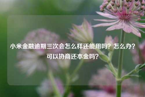 小米金融逾期三次会怎么样还能用吗？怎么办？可以协商还本金吗？