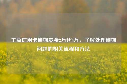 工商信用卡逾期本金2万还4万，了解处理逾期问题的相关流程和方法