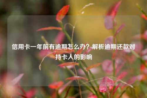 信用卡一年前有逾期怎么办？解析逾期还款对持卡人的影响