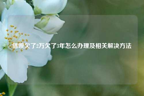 借呗欠了2万欠了3年怎么办理及相关解决方法