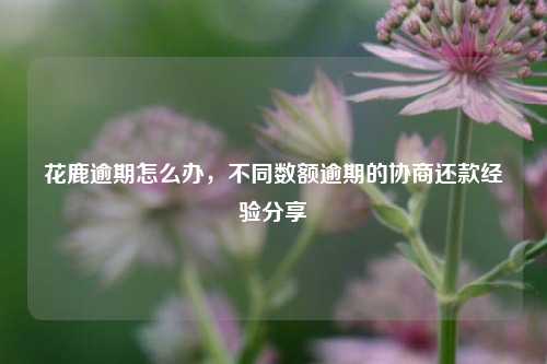 花鹿逾期怎么办，不同数额逾期的协商还款经验分享