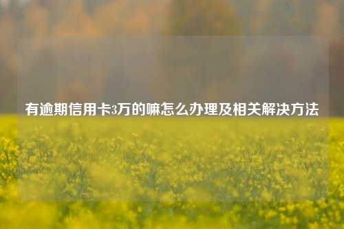 有逾期信用卡3万的嘛怎么办理及相关解决方法