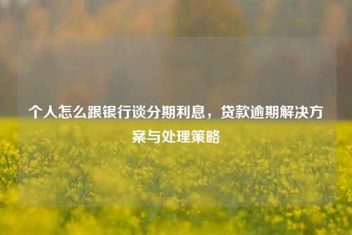 个人怎么跟银行谈分期利息，贷款逾期解决方案与处理策略