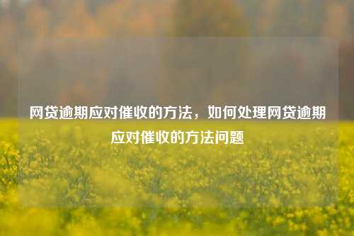 网贷逾期应对催收的方法，如何处理网贷逾期应对催收的方法问题