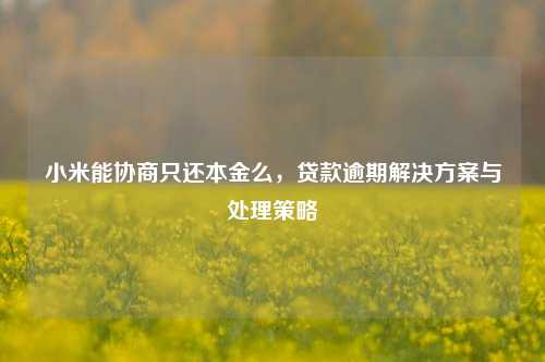 小米能协商只还本金么，贷款逾期解决方案与处理策略