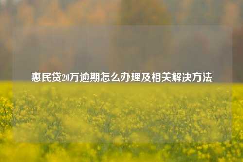 惠民贷20万逾期怎么办理及相关解决方法