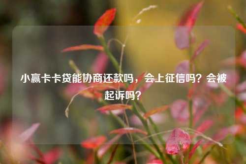 小赢卡卡贷能协商还款吗，会上征信吗？会被起诉吗？