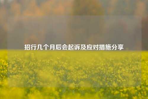 招行几个月后会起诉及应对措施分享