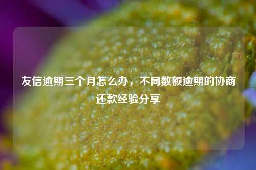 友信逾期三个月怎么办，不同数额逾期的协商还款经验分享