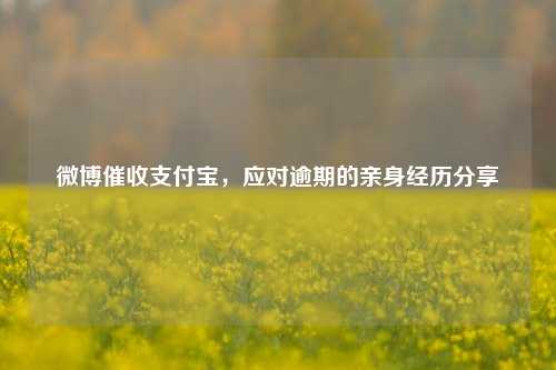 微博催收支付宝，应对逾期的亲身经历分享