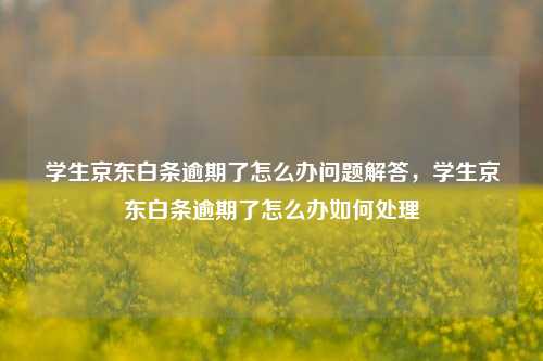 学生京东白条逾期了怎么办问题解答，学生京东白条逾期了怎么办如何处理