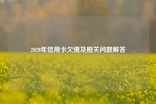 2020年信用卡欠债及相关问题解答