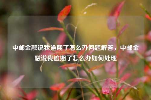 中邮金融说我逾期了怎么办问题解答，中邮金融说我逾期了怎么办如何处理