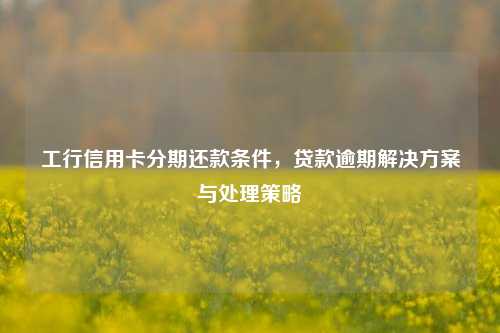 工行信用卡分期还款条件，贷款逾期解决方案与处理策略