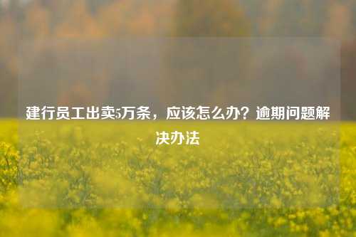 建行员工出卖5万条，应该怎么办？逾期问题解决办法