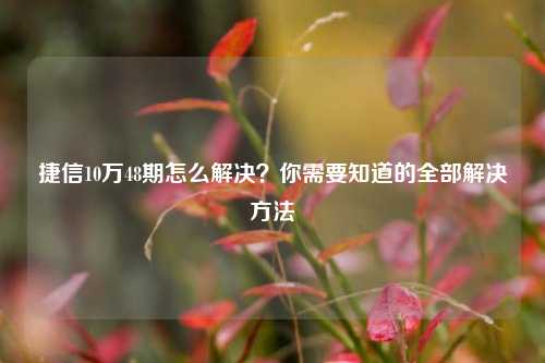 捷信10万48期怎么解决？你需要知道的全部解决方法