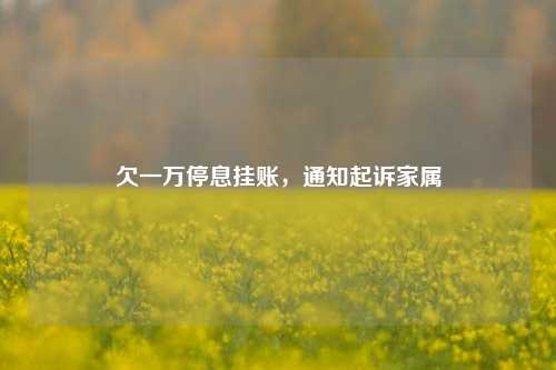 欠一万停息挂账，通知起诉家属