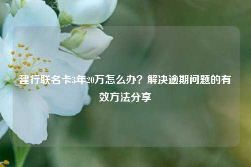 建行联名卡3年20万怎么办？解决逾期问题的有效方法分享