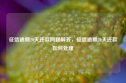 征信逾期20天还款问题解答，征信逾期20天还款如何处理