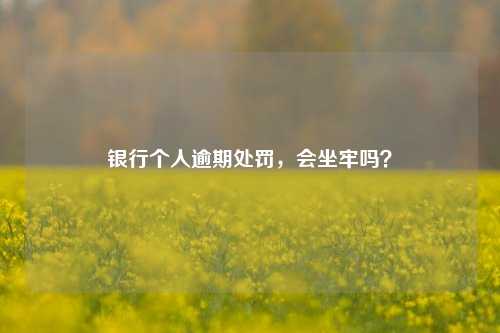 银行个人逾期处罚，会坐牢吗？