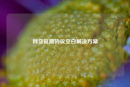 网贷延期协议空白解决方案