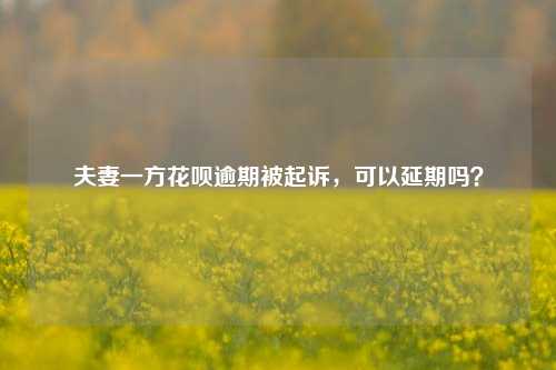 夫妻一方花呗逾期被起诉，可以延期吗？