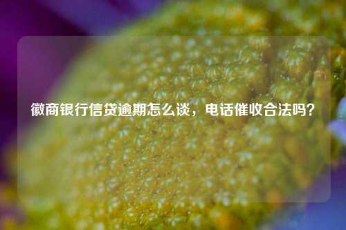 徽商银行信贷逾期怎么谈，电话催收合法吗？