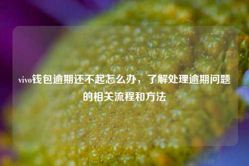 vivo钱包逾期还不起怎么办，了解处理逾期问题的相关流程和方法