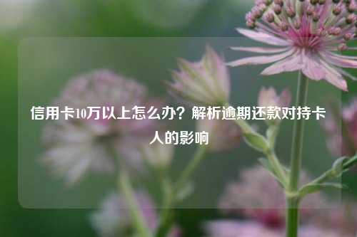 信用卡10万以上怎么办？解析逾期还款对持卡人的影响