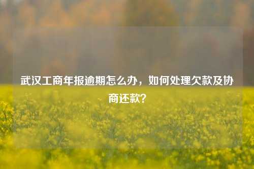 武汉工商年报逾期怎么办，如何处理欠款及协商还款？