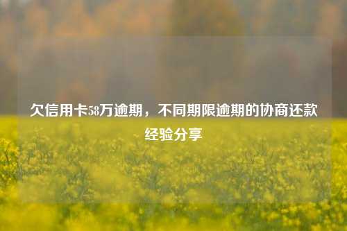 欠信用卡58万逾期，不同期限逾期的协商还款经验分享